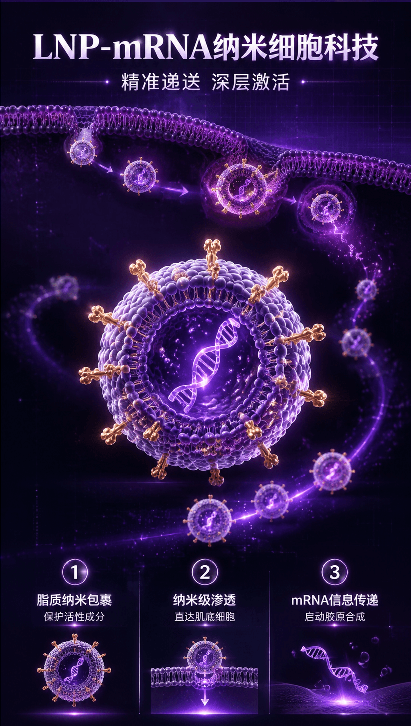 1‘.png