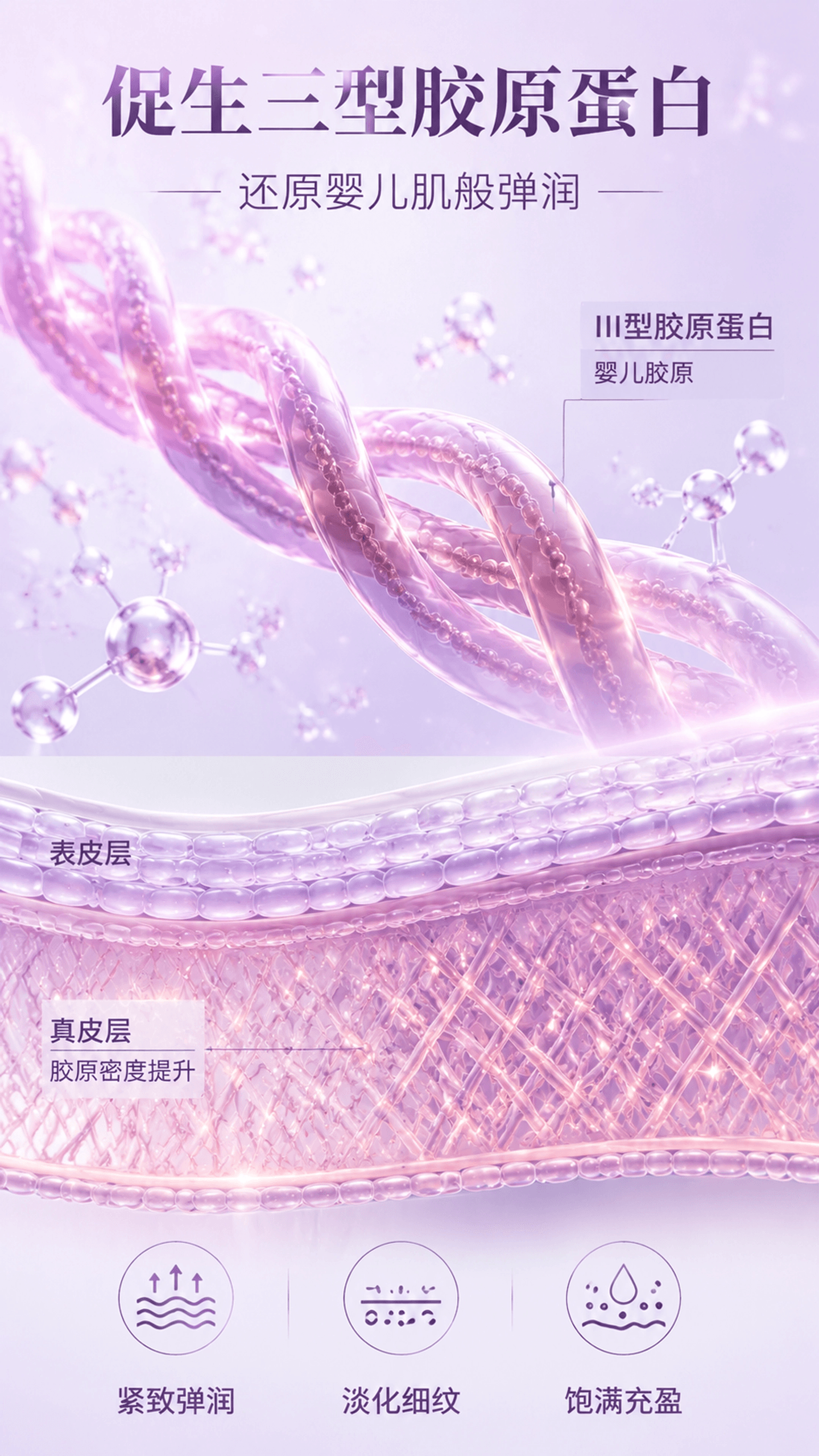 三型胶原再生可视化.png